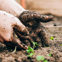 MWC Small Group Event: Sustainability, Climate and Mindfulness